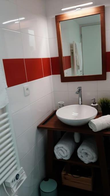 Appartamento Toulouse Charmant T3 Ponts Jumeaux Avec Terrasse Esterno foto